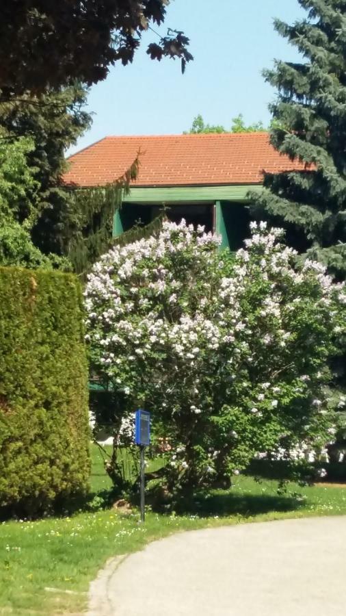 Gasthof Manhalter Pitten المظهر الخارجي الصورة